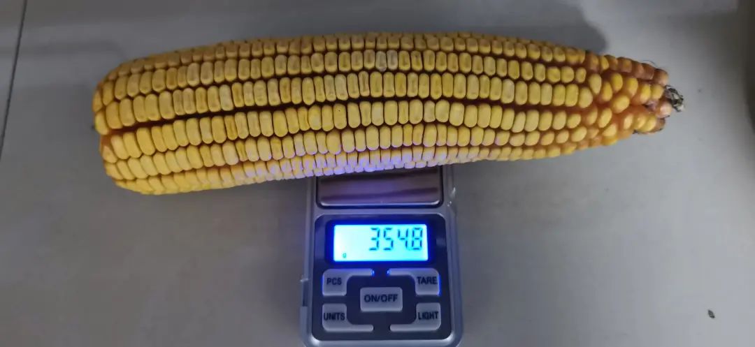 1645580361382291.jpg