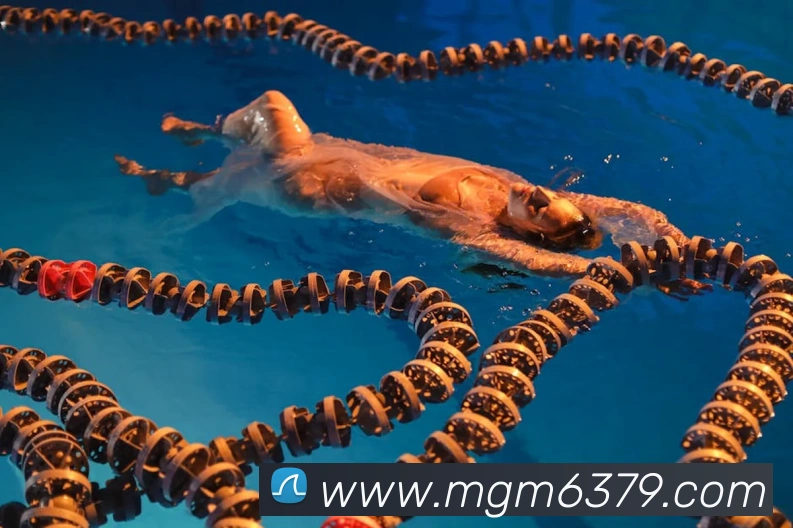 多媒体互动体验